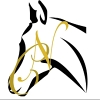 ACN ecurie